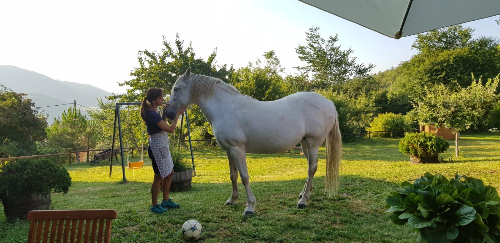 BELÉN CIERCO CA DE PERICH